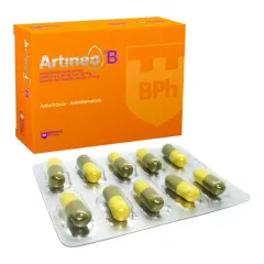 Artineo B