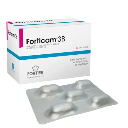 Forticam 3b Meloxicam / Vitamina B1 B6 B12